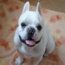 リフレブレス　ボーナスコース　2ヵ月に一度