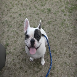 リフレブレス　ボーナスコース　2ヵ月に一度